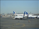 Airplanes With New York On Background